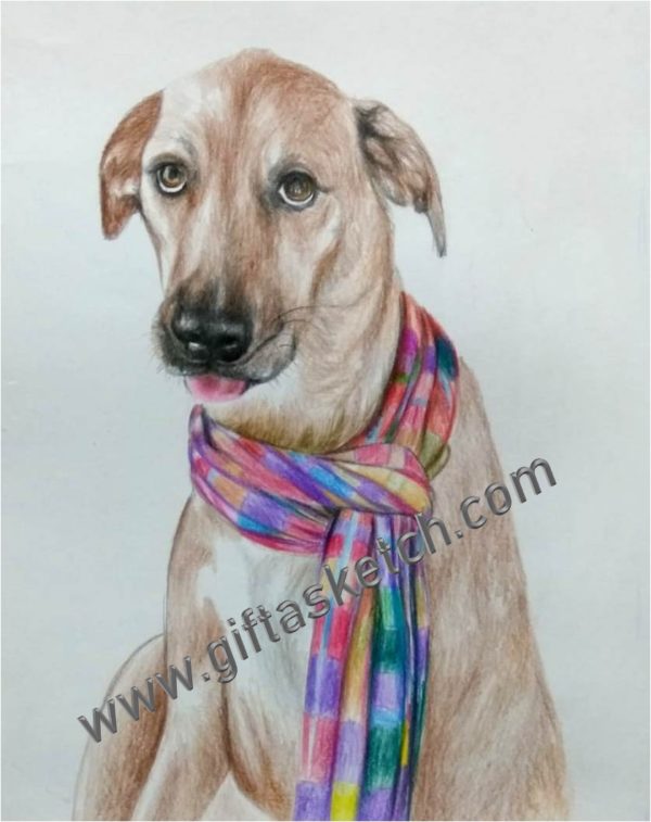 Pet Portrait Drawing - Image 4