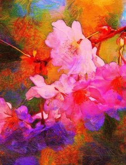 Oil flowers at giftasketch